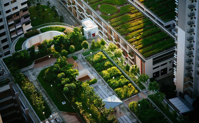 Lý do gì khiến Basel trở thành thành phố xanh đầu tiên trên thế giới?